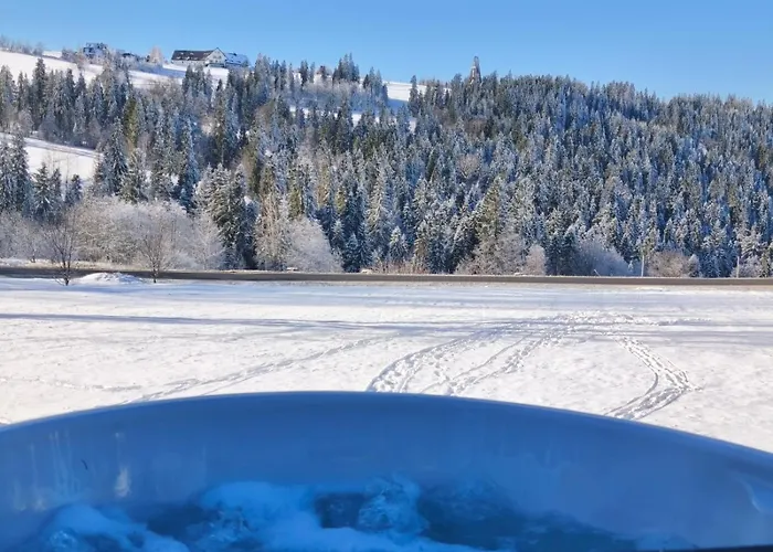 Domki na Budzu Zakopane